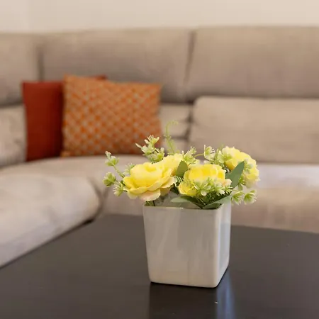 Apartamento Civico 79